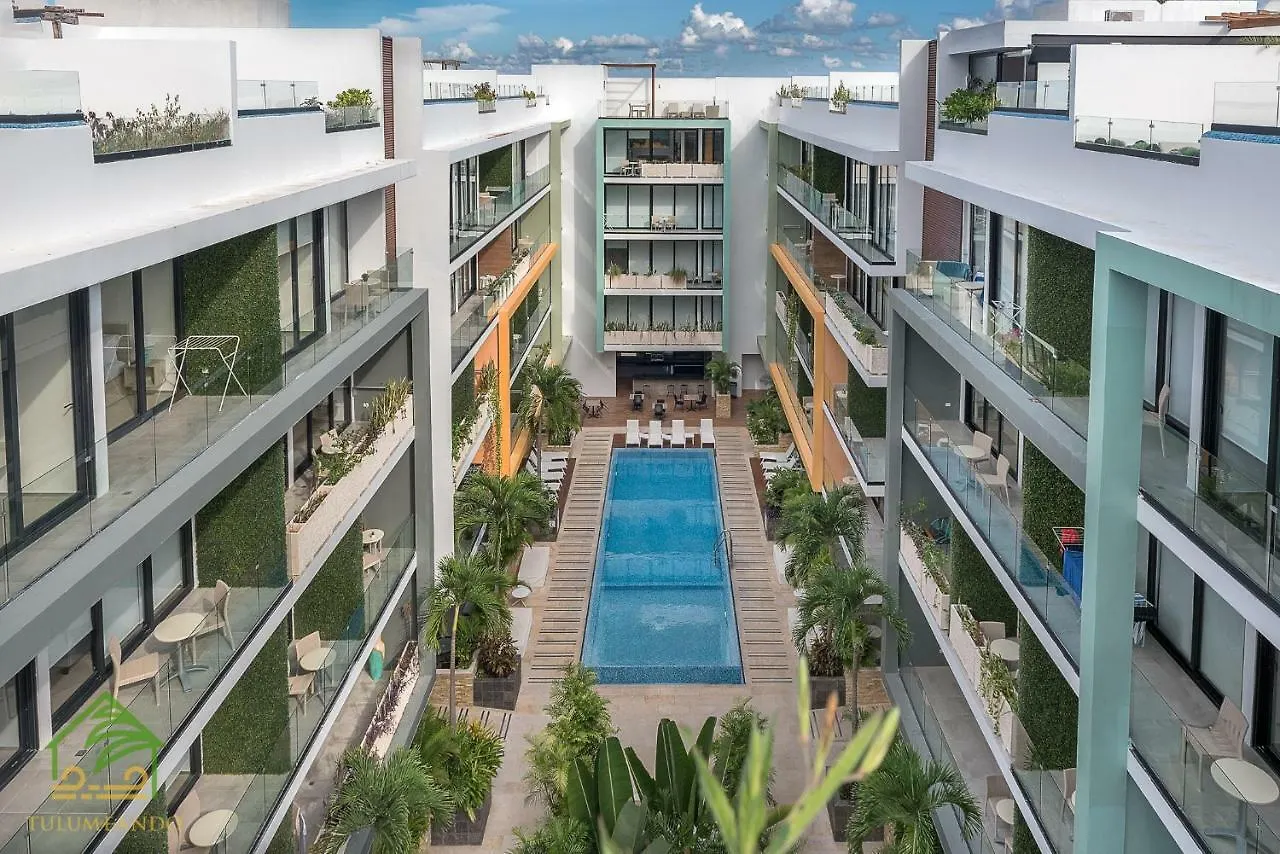 The City By Tulumeando Playa del Carmen 0*,